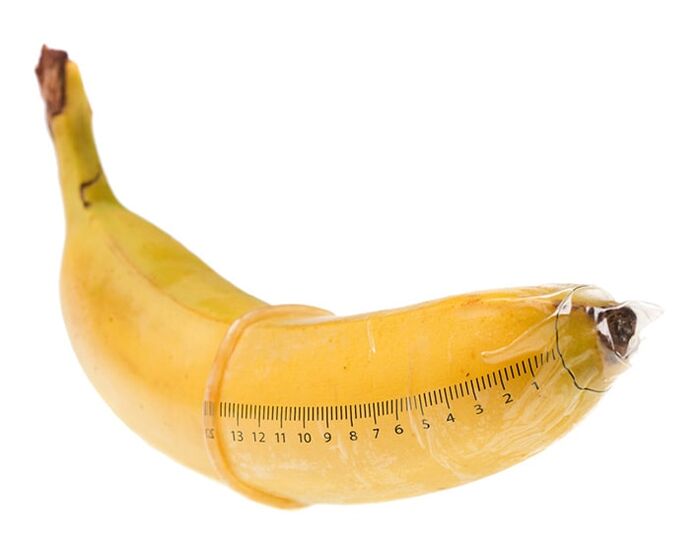 Optimální velikost ztopořeného penisu je 10-16 cm